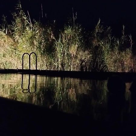 B&B Giovannarolla Green House オストゥーニ エクステリア 写真