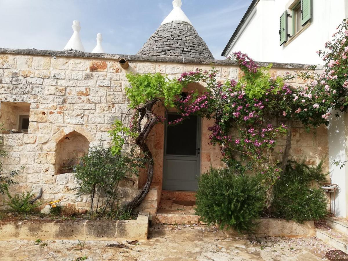 B&B Giovannarolla Green House オストゥーニ エクステリア 写真