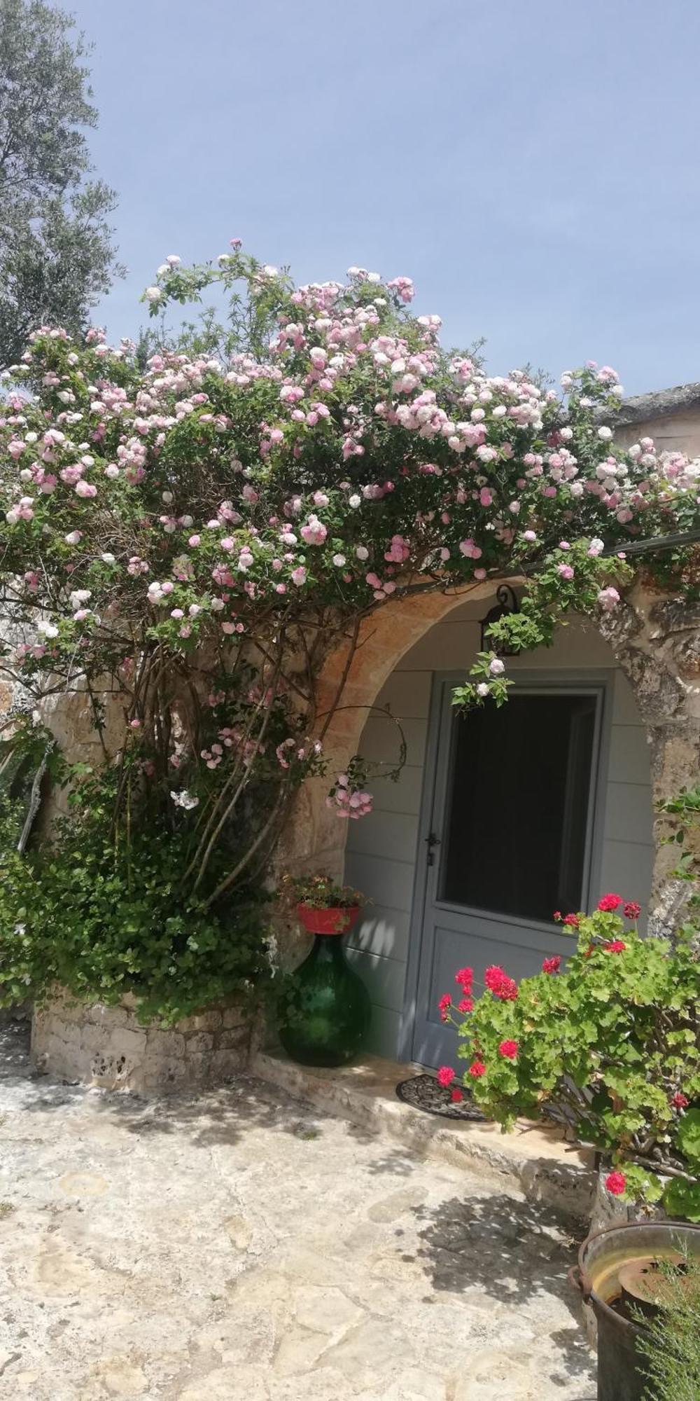 B&B Giovannarolla Green House オストゥーニ エクステリア 写真