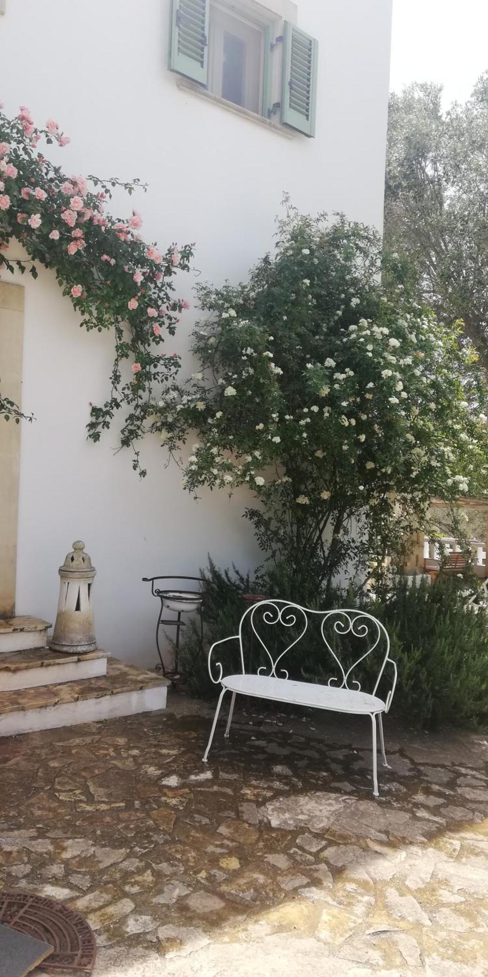 B&B Giovannarolla Green House オストゥーニ エクステリア 写真