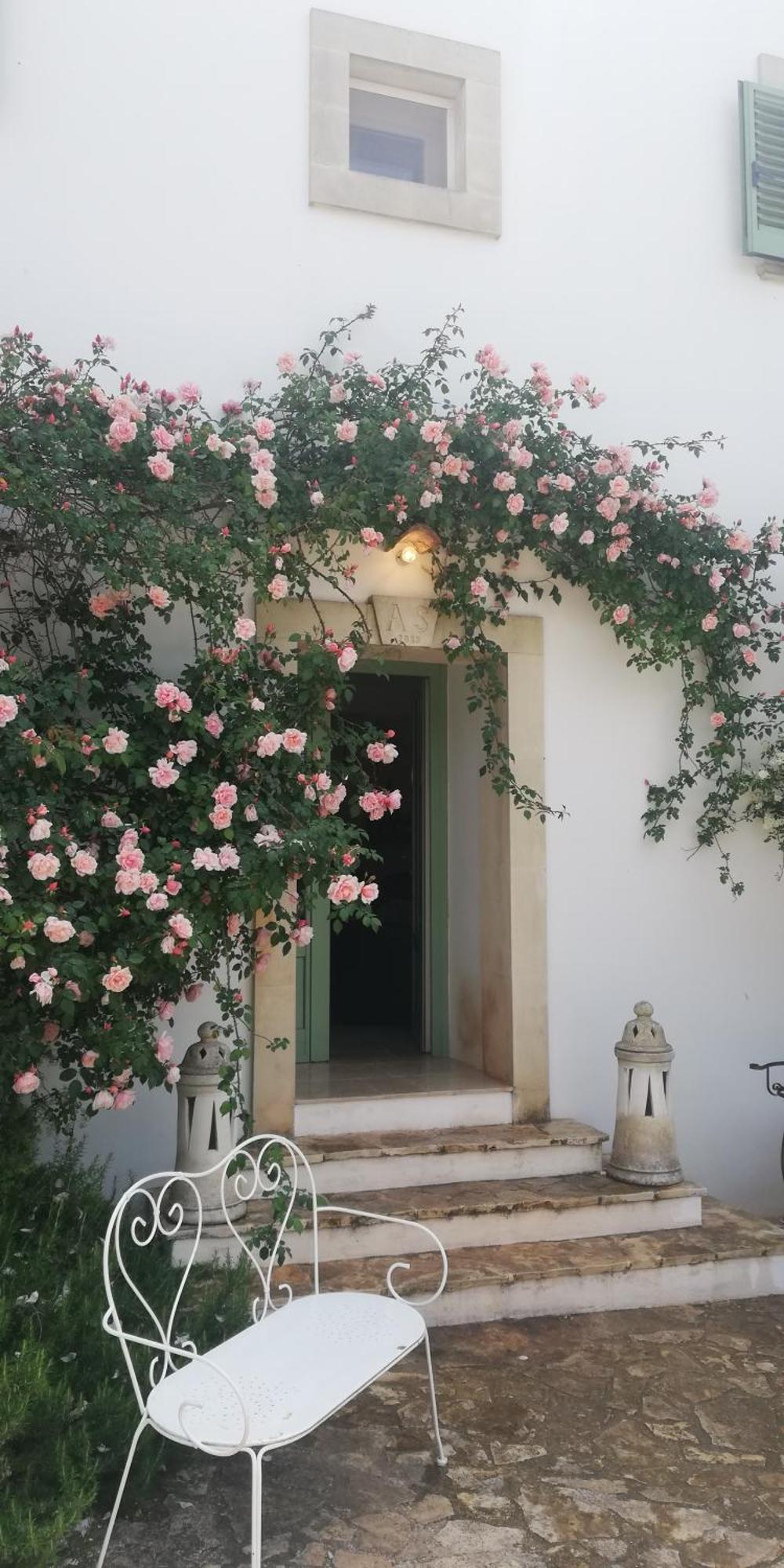 B&B Giovannarolla Green House オストゥーニ エクステリア 写真