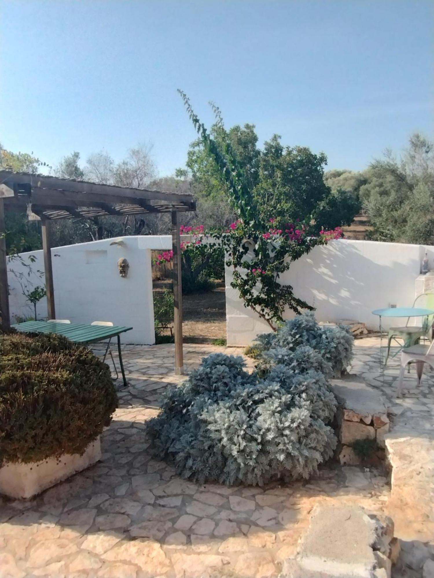 B&B Giovannarolla Green House オストゥーニ エクステリア 写真